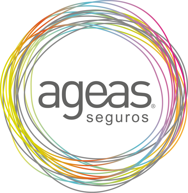 AGEAS Seguros - Professional services